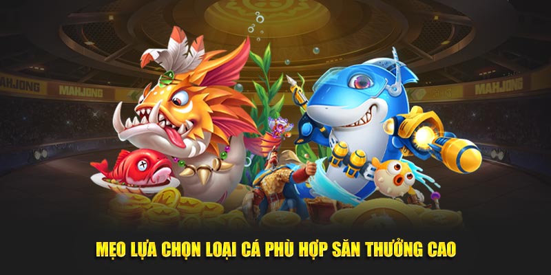 Mẹo lựa chọn loại cá phù hợp săn thưởng cao